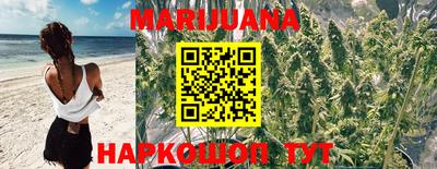 альфа пвп Новокубанск