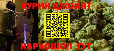 гашик Новодвинск