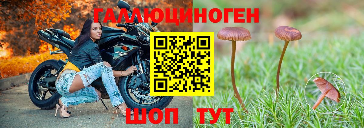 Советский  Галлюциногенные грибы прущие грибы  Вход с VPN 